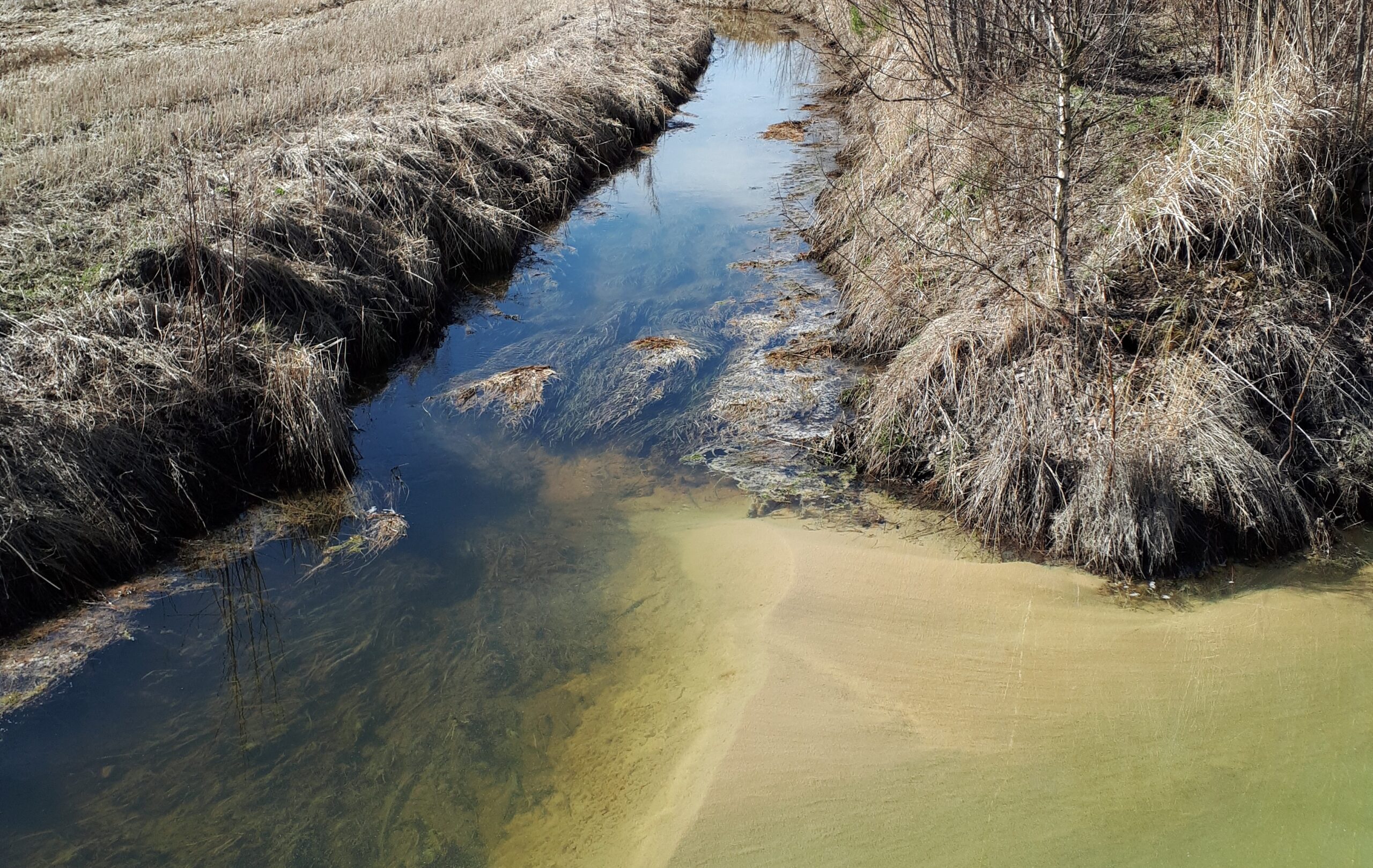 Espoon kaupunkirata, painuma-arviot ja happamat sulfaattimaat – poimintoja tuoreesta Geofoor-lehdestä